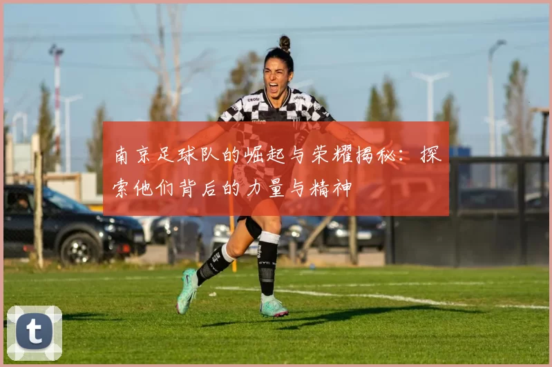 南京足球队的崛起与荣耀揭秘：探索他们背后的力量与精神